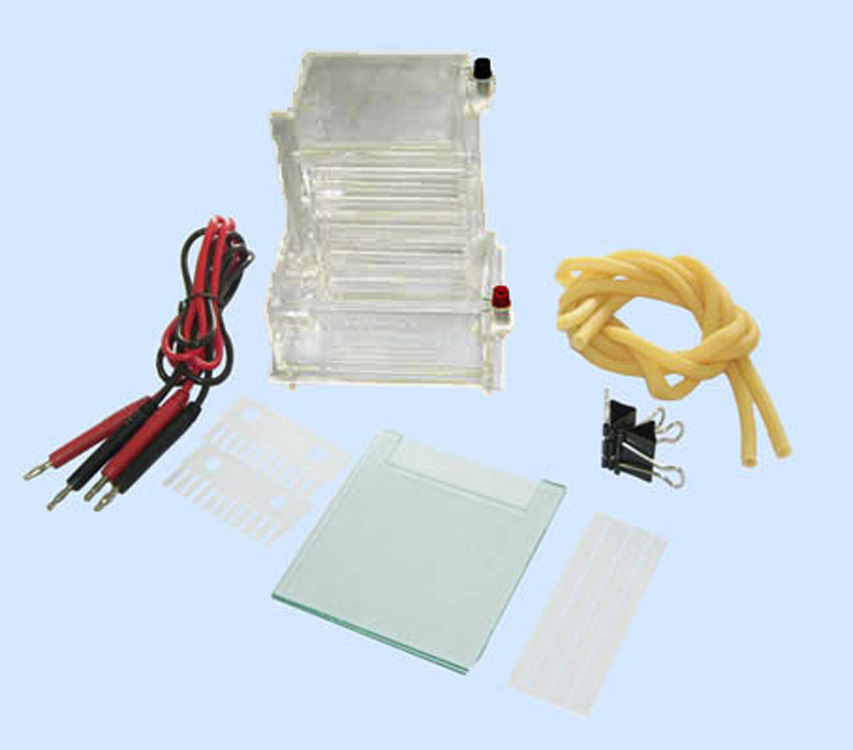 北京六一 DYCZ-23A型 小型单垂直电泳仪