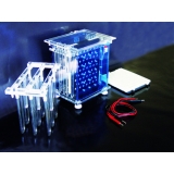 北京六一 DYCZ-40A型 转印电泳仪（大号）