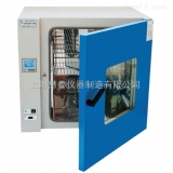 上海慧泰恒温鼓风干燥箱DHG-9030A